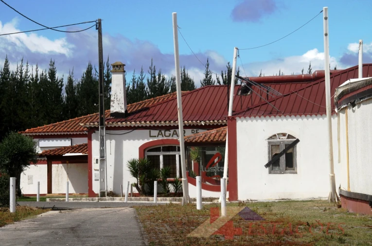 Loja para Venda em Pombal Foto 29