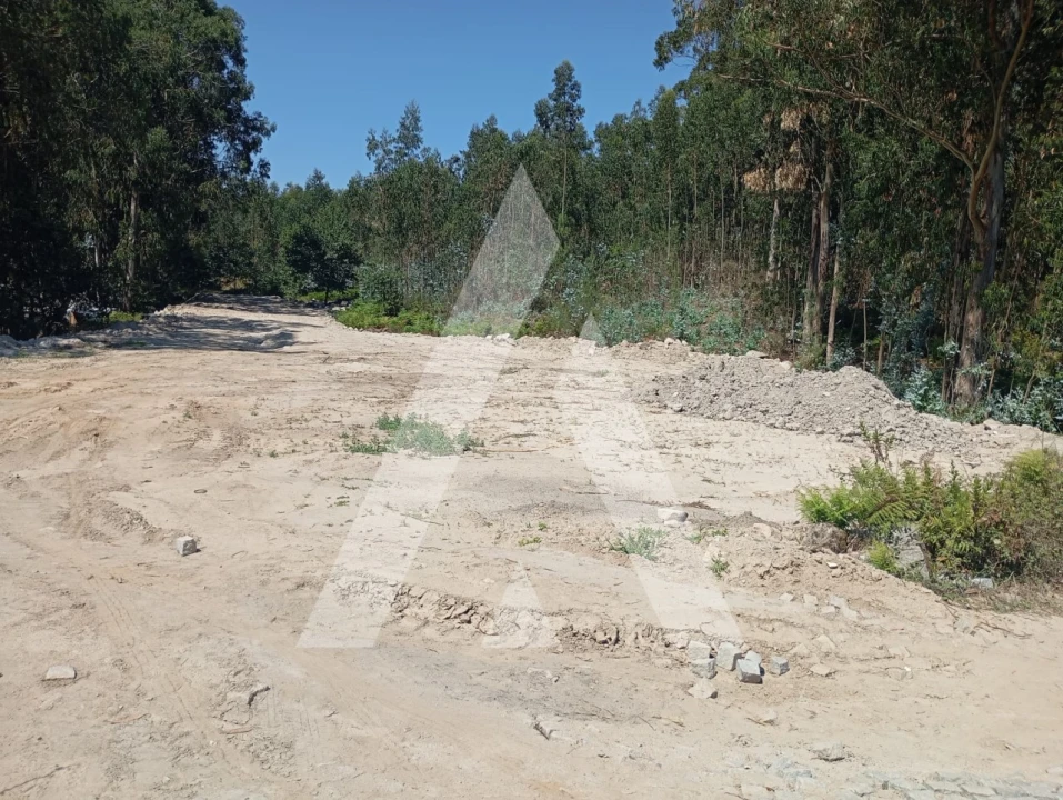 Terreno para Venda em Cabeça Santa Foto 1