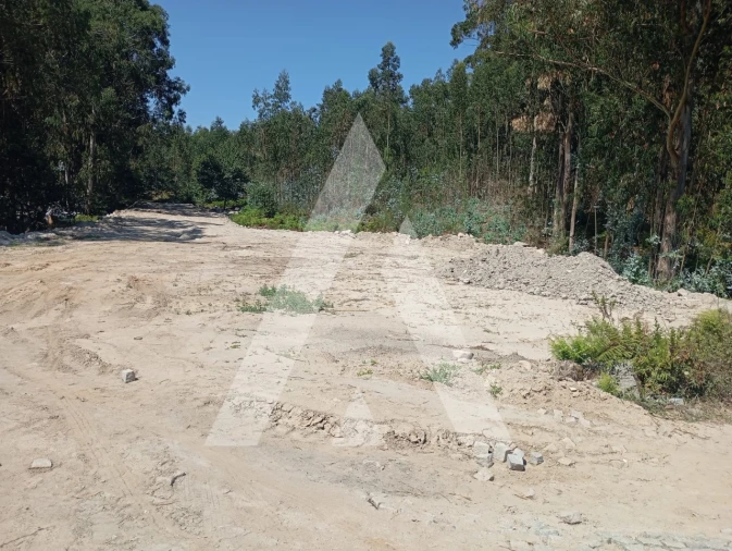 Terreno para Venda em Cabeça Santa Foto 1