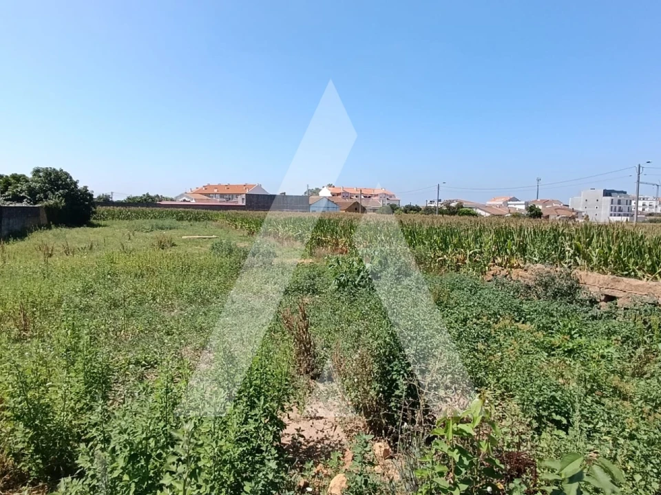 Terreno para Venda em Oiã Foto 1