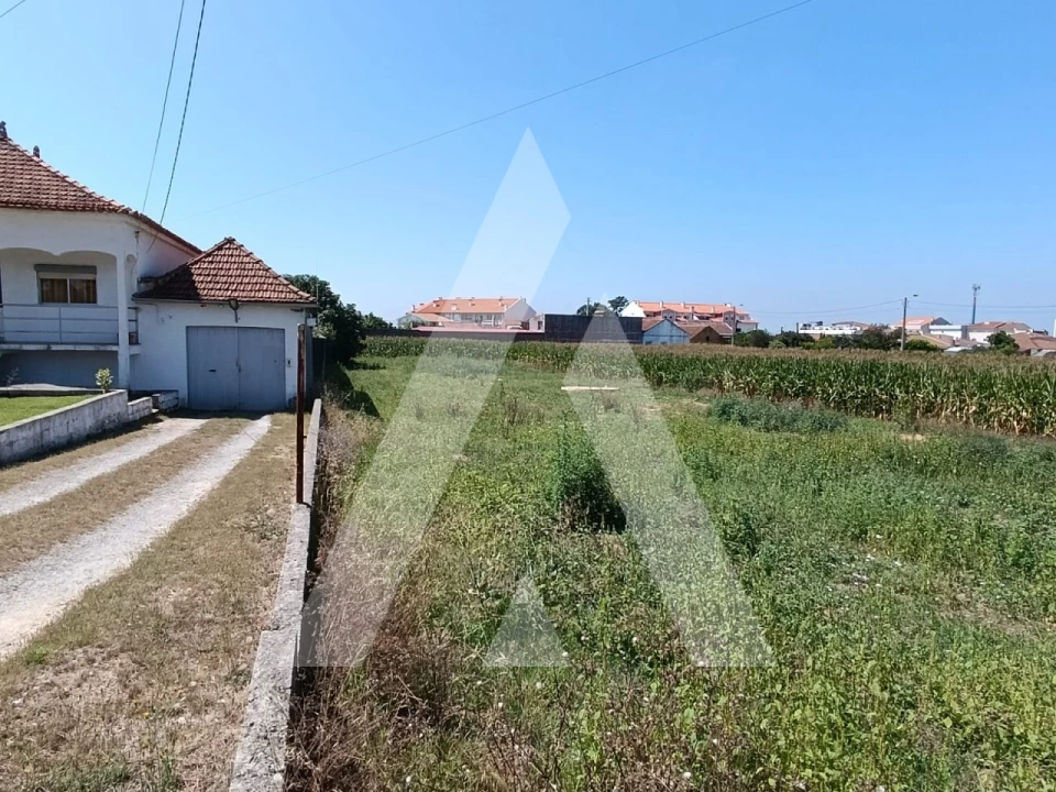 Terreno para Venda em Oiã Foto 3