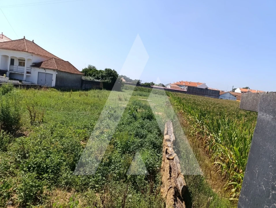 Terreno para Venda em Oiã Foto 4