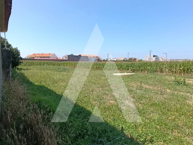 Terreno para Venda em Oiã Foto 2