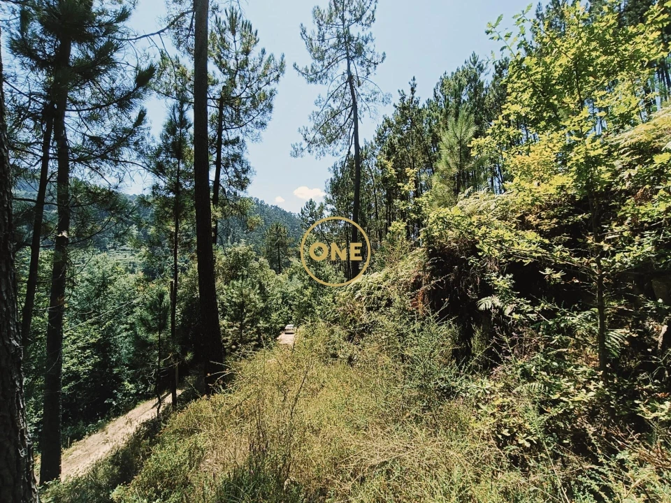 Terreno para Venda em Campo do Geres Foto 2