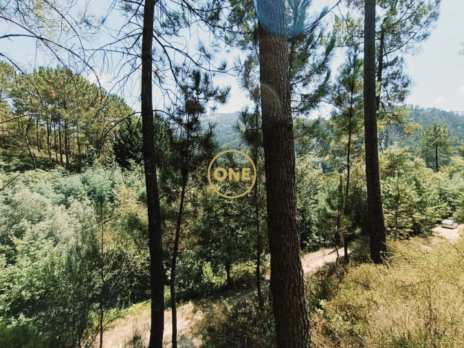 Terreno para Venda em Campo do Geres Foto 5