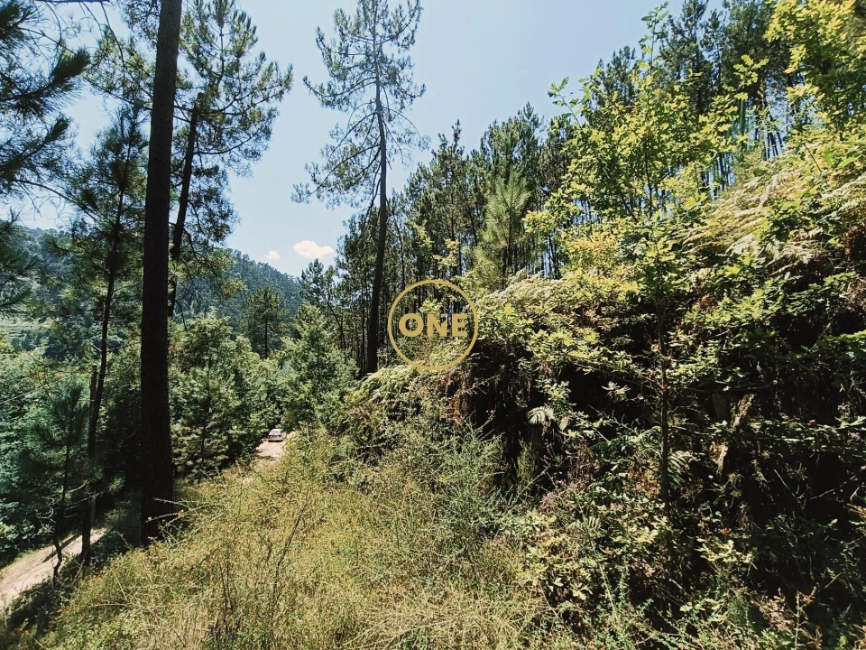 Terreno para Venda em Campo do Geres Foto 8