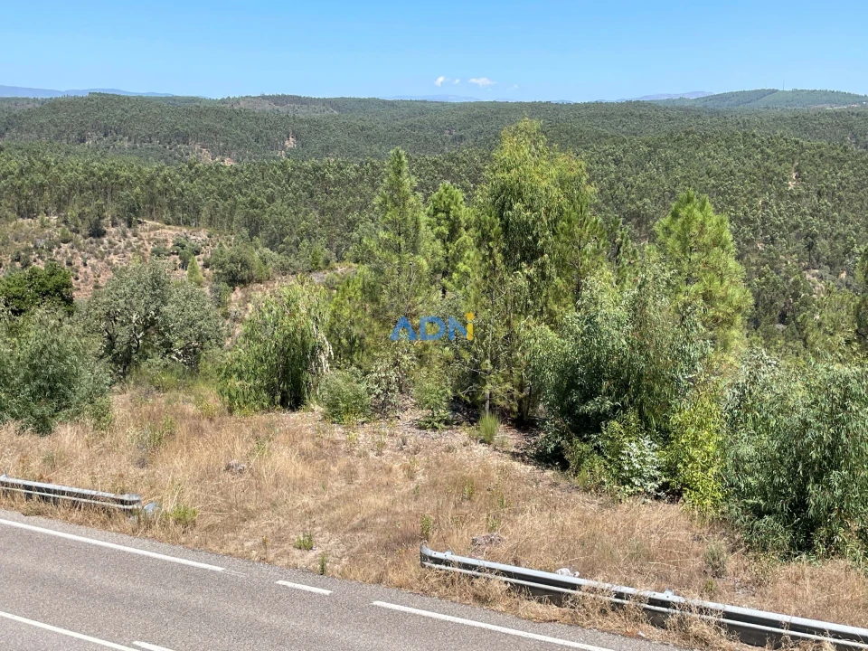 Terreno para Venda em Castelo Branco Foto 16