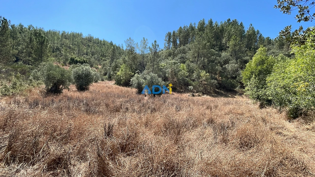 Terreno para Venda em Castelo Branco Foto 11