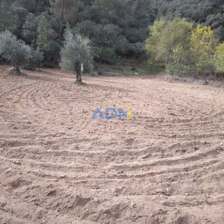 Terreno para Venda em Castelo Branco Foto 19