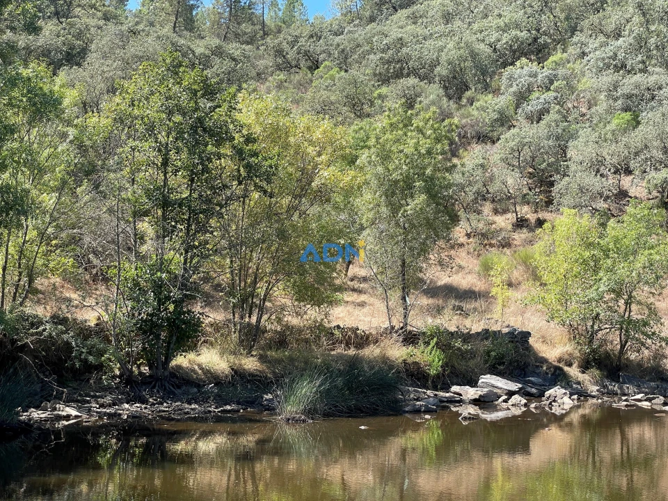 Terreno para Venda em Castelo Branco Foto 5