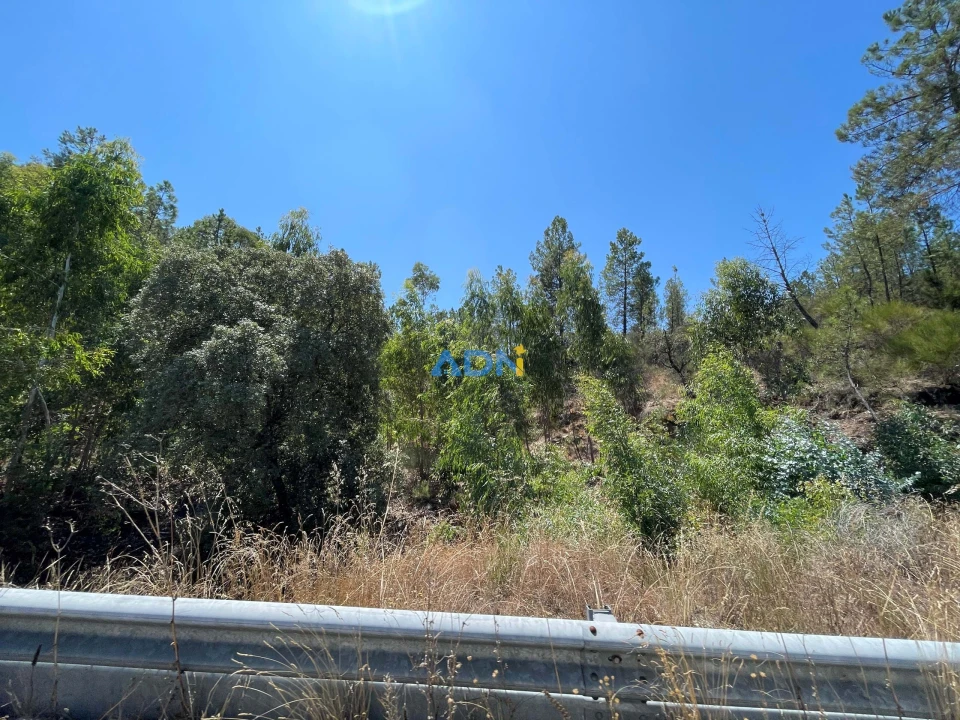 Terreno para Venda em Castelo Branco Foto 10