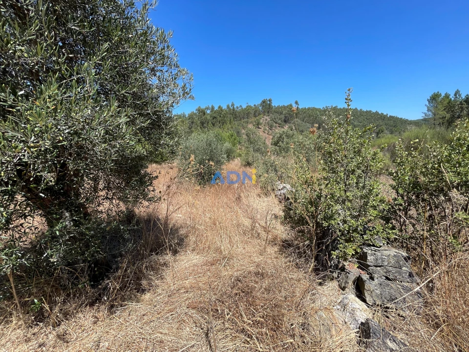 Terreno para Venda em Castelo Branco Foto 12