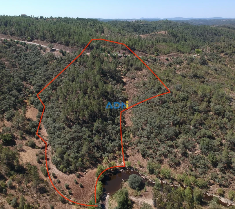 Terreno para Venda em Castelo Branco Foto 3