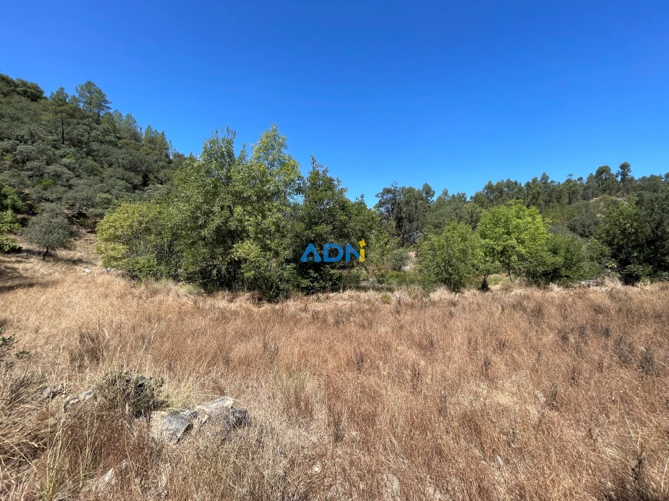 Terreno para Venda em Castelo Branco Foto 14