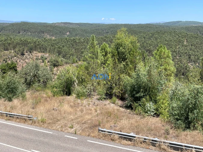 Terreno para Venda em Castelo Branco Foto 16