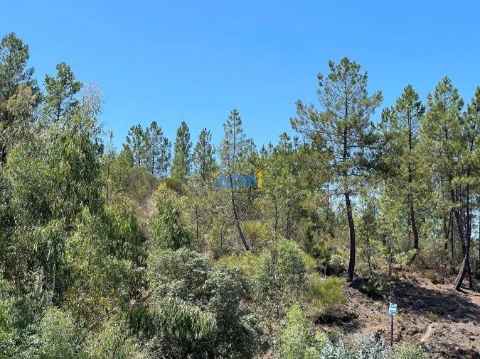 Terreno para Venda em Castelo Branco Foto 9