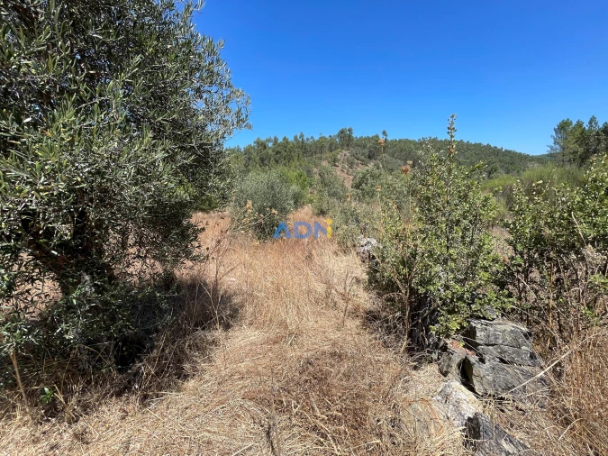 Terreno para Venda em Castelo Branco Foto 12