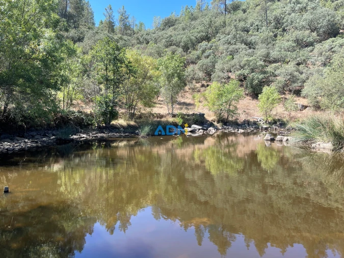 Terreno para Venda em Castelo Branco Foto 6