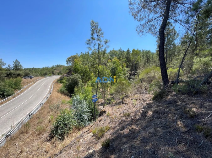 Terreno para Venda em Castelo Branco Foto 17