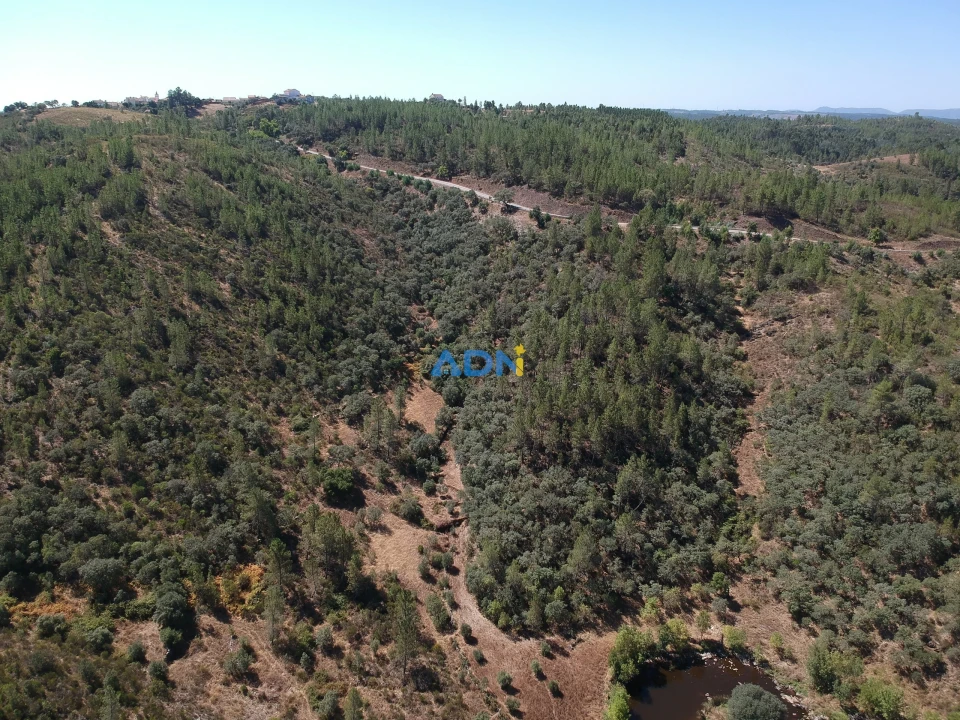 Terreno para Venda em Castelo Branco Foto 4