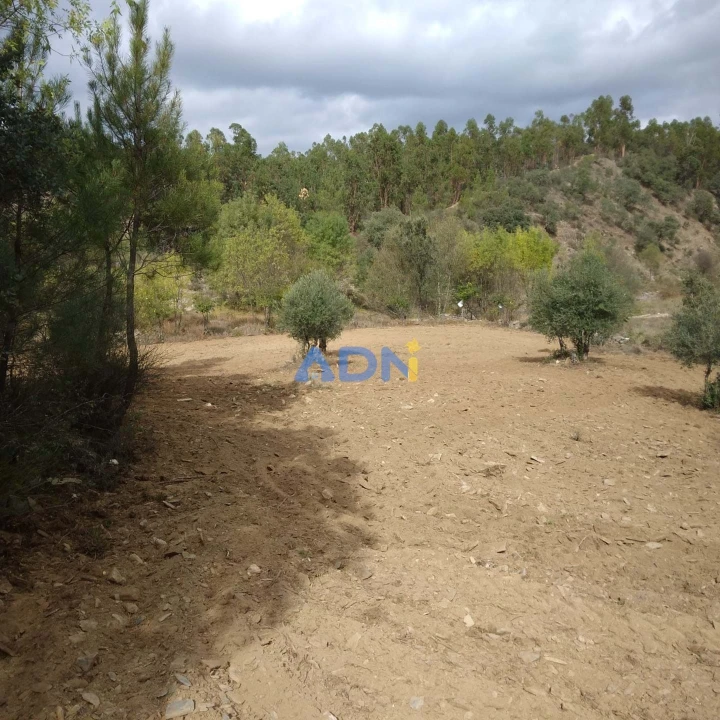 Terreno para Venda em Castelo Branco Foto 18