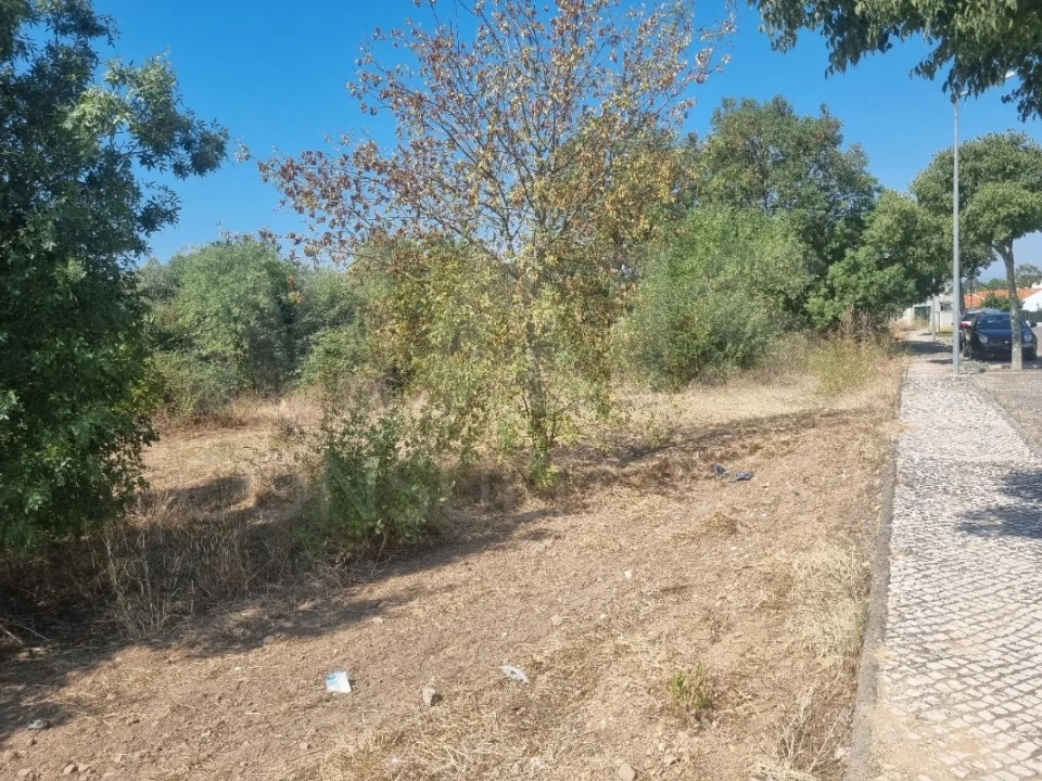 Terreno para Venda em Vila Nova da Barquinha Foto 1