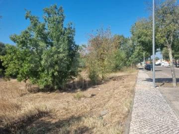 Terreno para Venda em Vila Nova da Barquinha