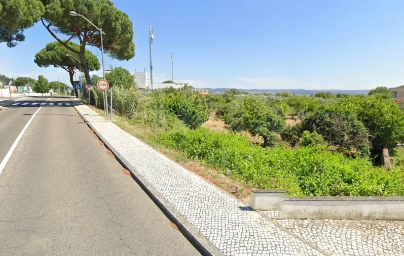 Terreno para Venda em Vila Nova da Barquinha Foto 2