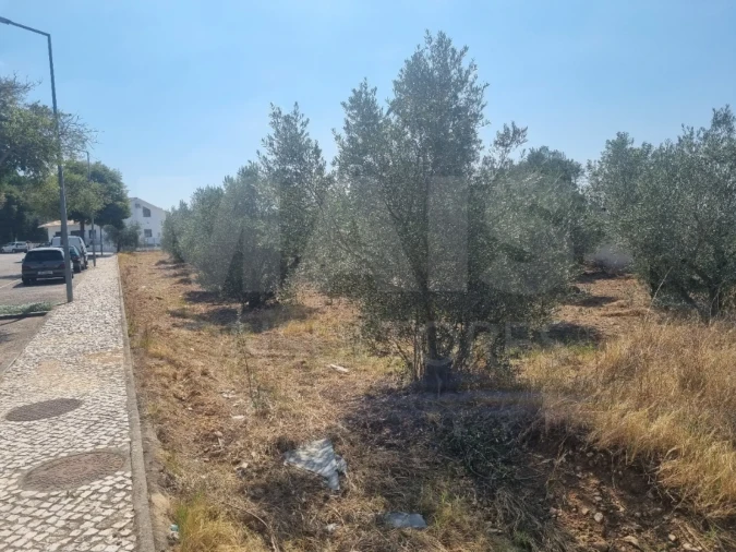 Terreno para Venda em Vila Nova da Barquinha Foto 7