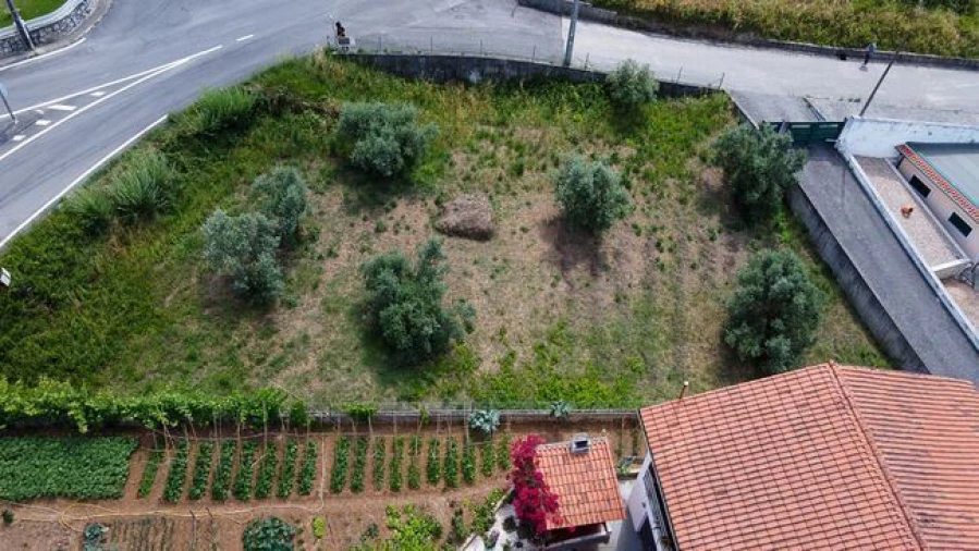 Terreno para Venda em Santa Clara e Castelo Viegas Foto 7