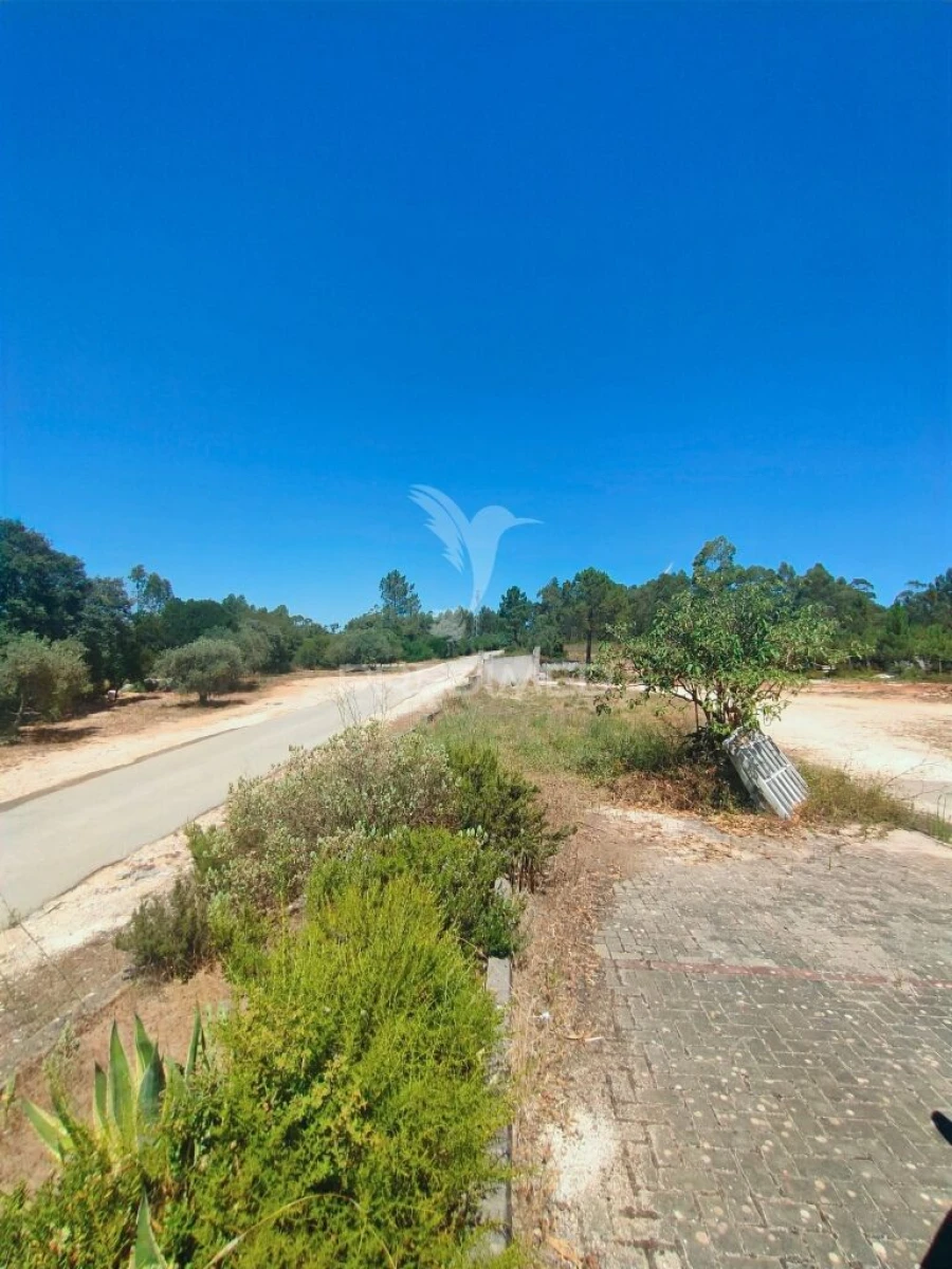 Armazém para Arrendamento em Minde Foto 15