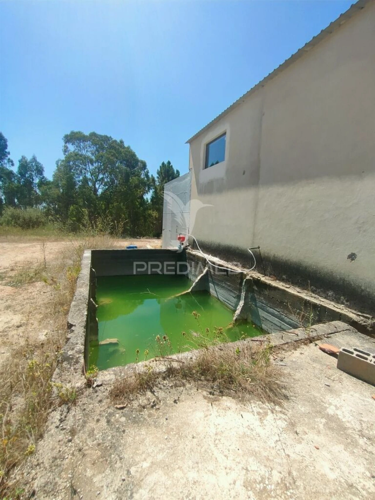 Armazém para Arrendamento em Minde Foto 9