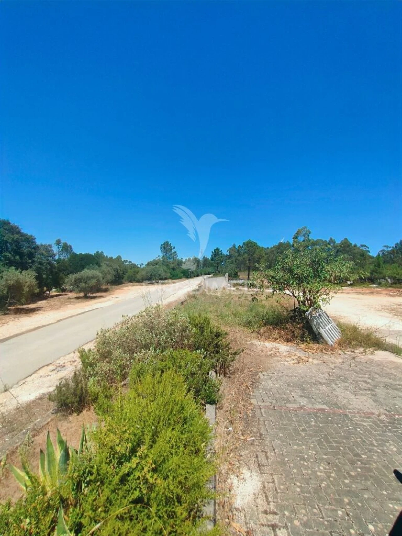 Armazém para Arrendamento em Minde Foto 15