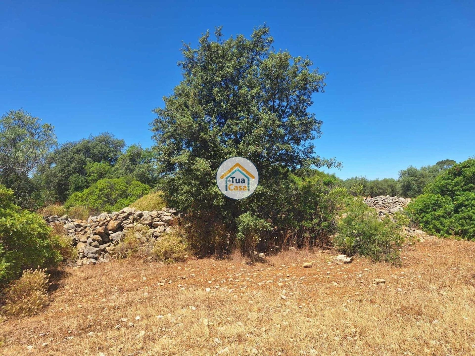Terreno para Venda em São Brás de Alportel Foto 8