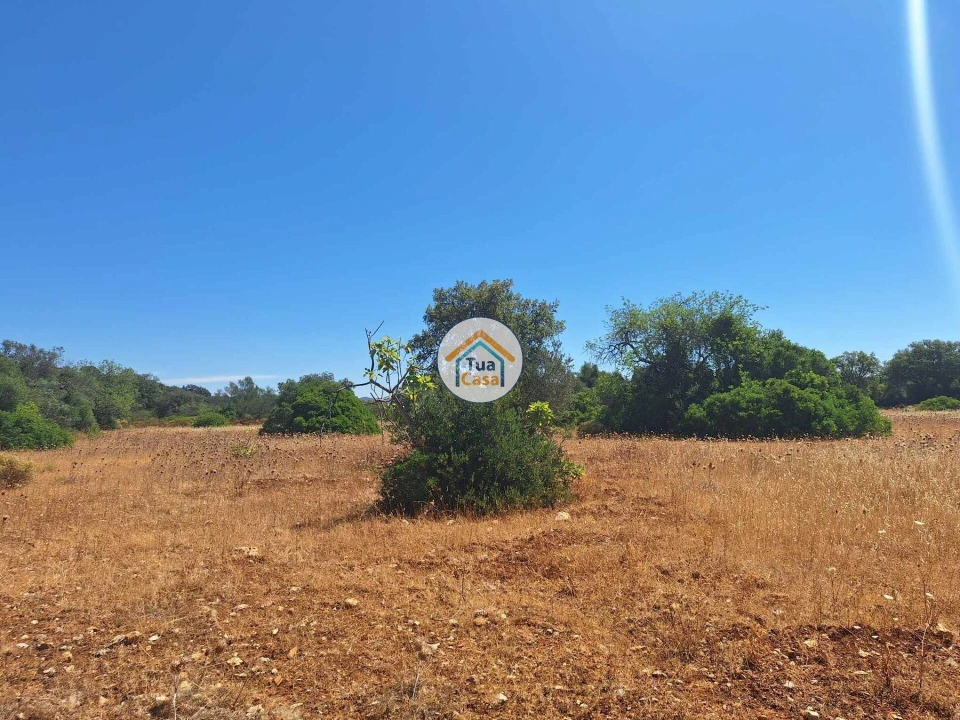 Terreno para Venda em São Brás de Alportel Foto 7