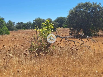 Terreno para Venda em São Brás de Alportel