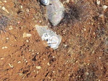 Terreno para Venda em São Brás de Alportel