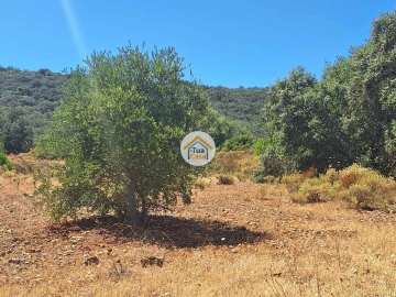Terreno para Venda em São Brás de Alportel