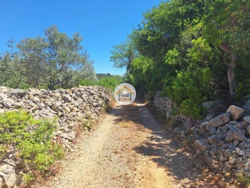 Terreno para Venda em São Brás de Alportel