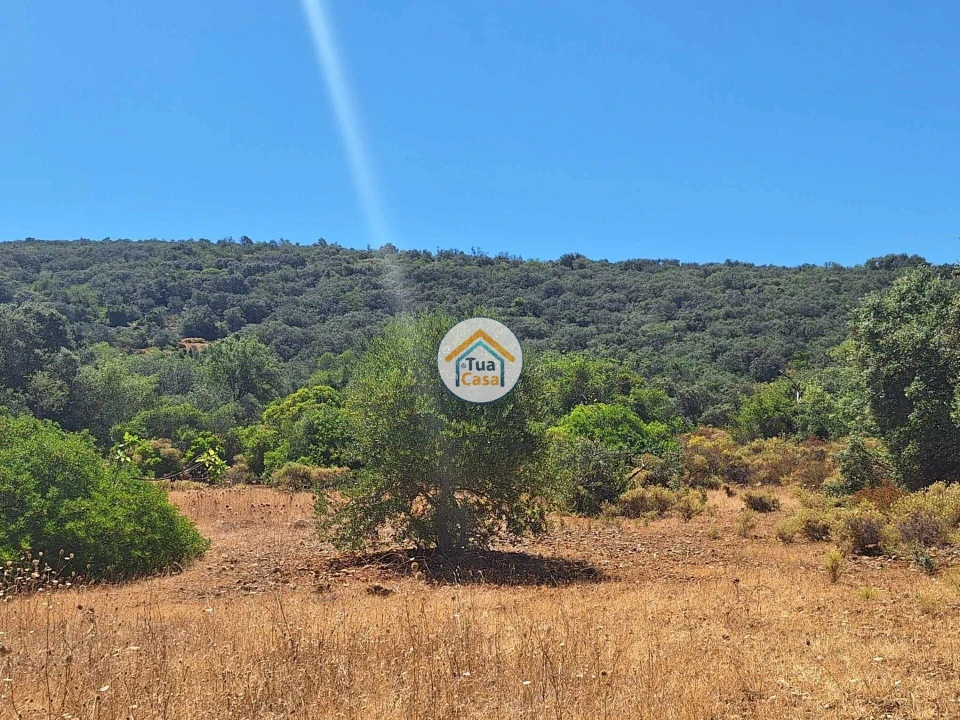 Terreno para Venda em São Brás de Alportel Foto 10