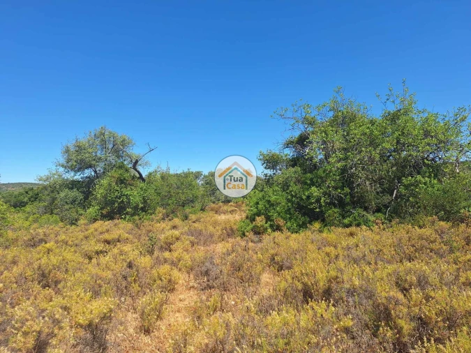 Terreno para Venda em São Brás de Alportel Foto 5