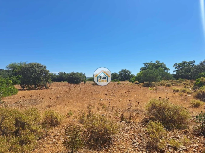 Terreno para Venda em São Brás de Alportel Foto 11