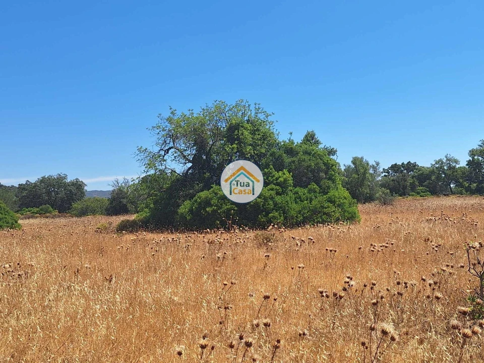 Terreno para Venda em São Brás de Alportel Foto 4