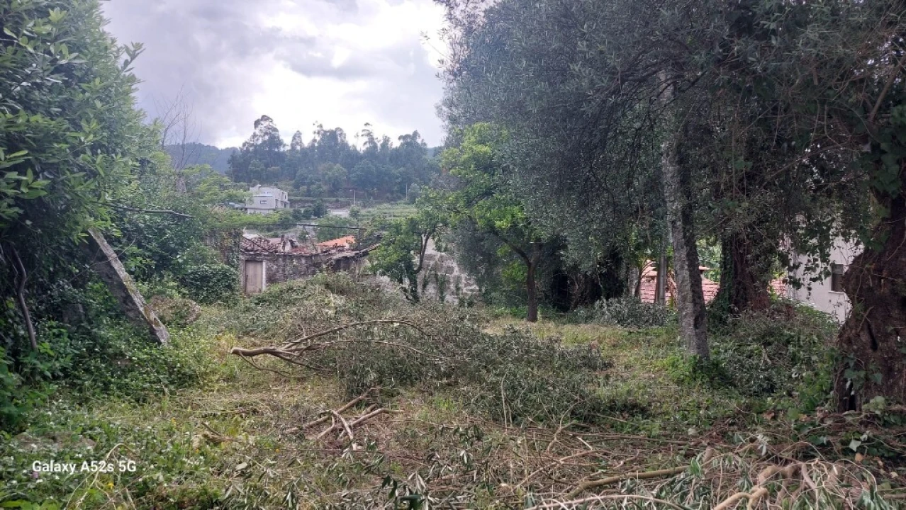 Moradia para Venda em Goães Foto 12