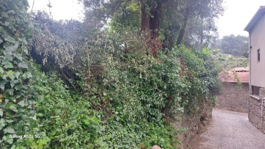 Moradia para Venda em Goães Foto 15