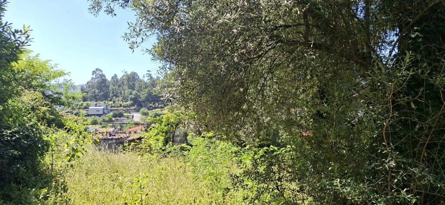 Moradia para Venda em Goães Foto 17