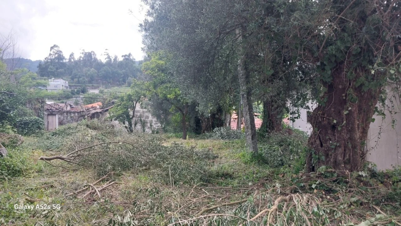 Moradia para Venda em Goães Foto 14