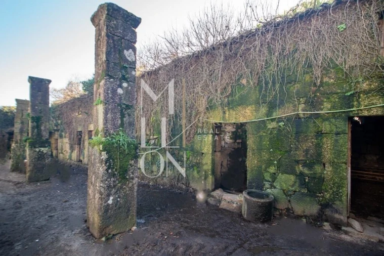 Quinta T5 para Venda em Roriz Foto 37