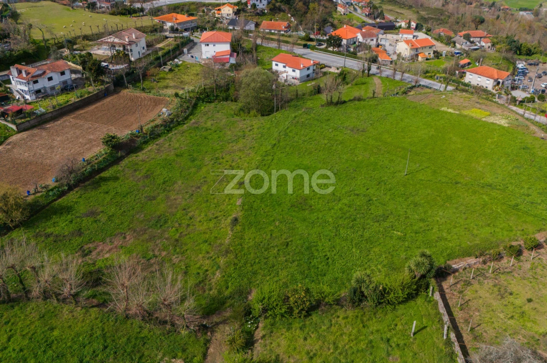 Terreno para Venda em Mesão Frio Foto 9