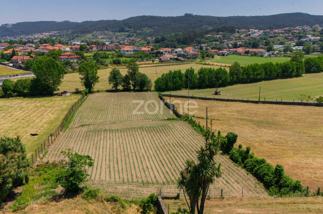 Moradia T7 para Venda em Vale (São Cosme), Telhado e Portela Foto 7